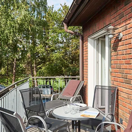 Seemuschel - 6 * Cuxhaven